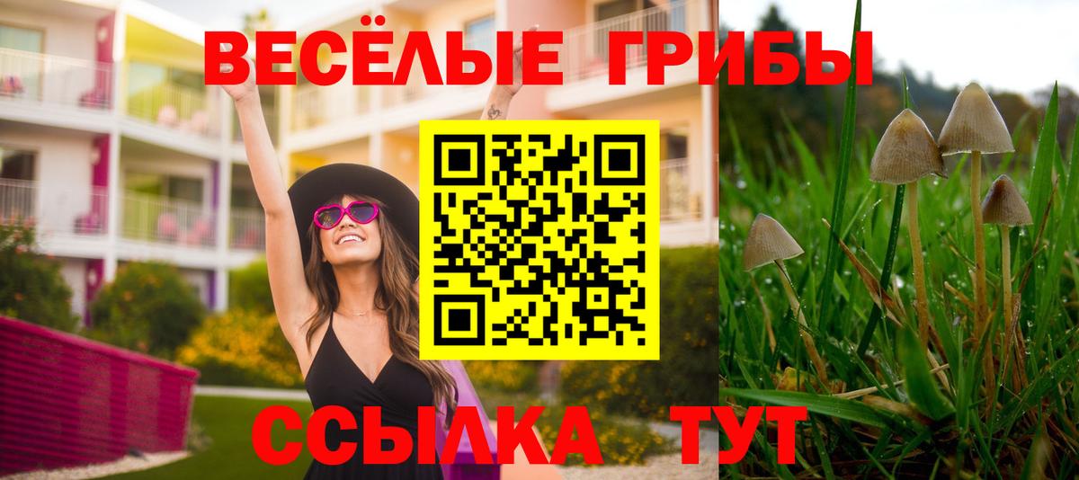 Псилоцибиновые грибы Psilocybe  наркотики  Вход с VPN  Боровичи  Псилоцибиновые грибы Cubensis 