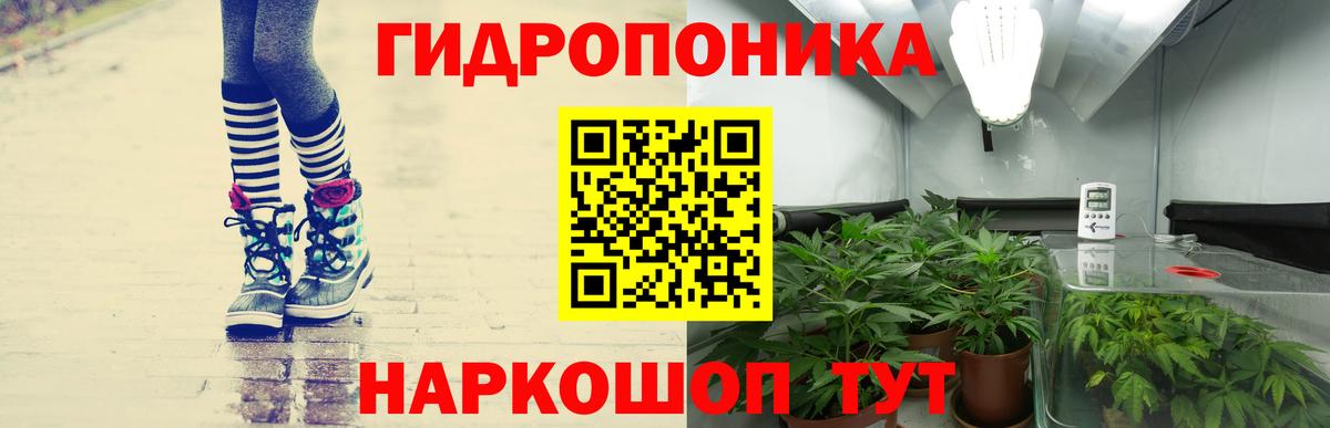 Боровичи  Конопля индика  Вход с VPN  Конопля сатива 